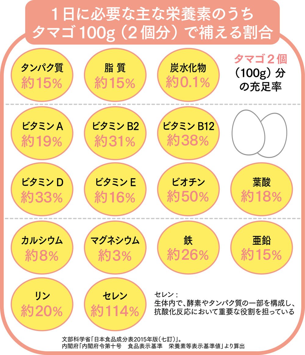 ゆで卵は一日何個まで？1日1個説の嘘と筋トレ・健康への新常識