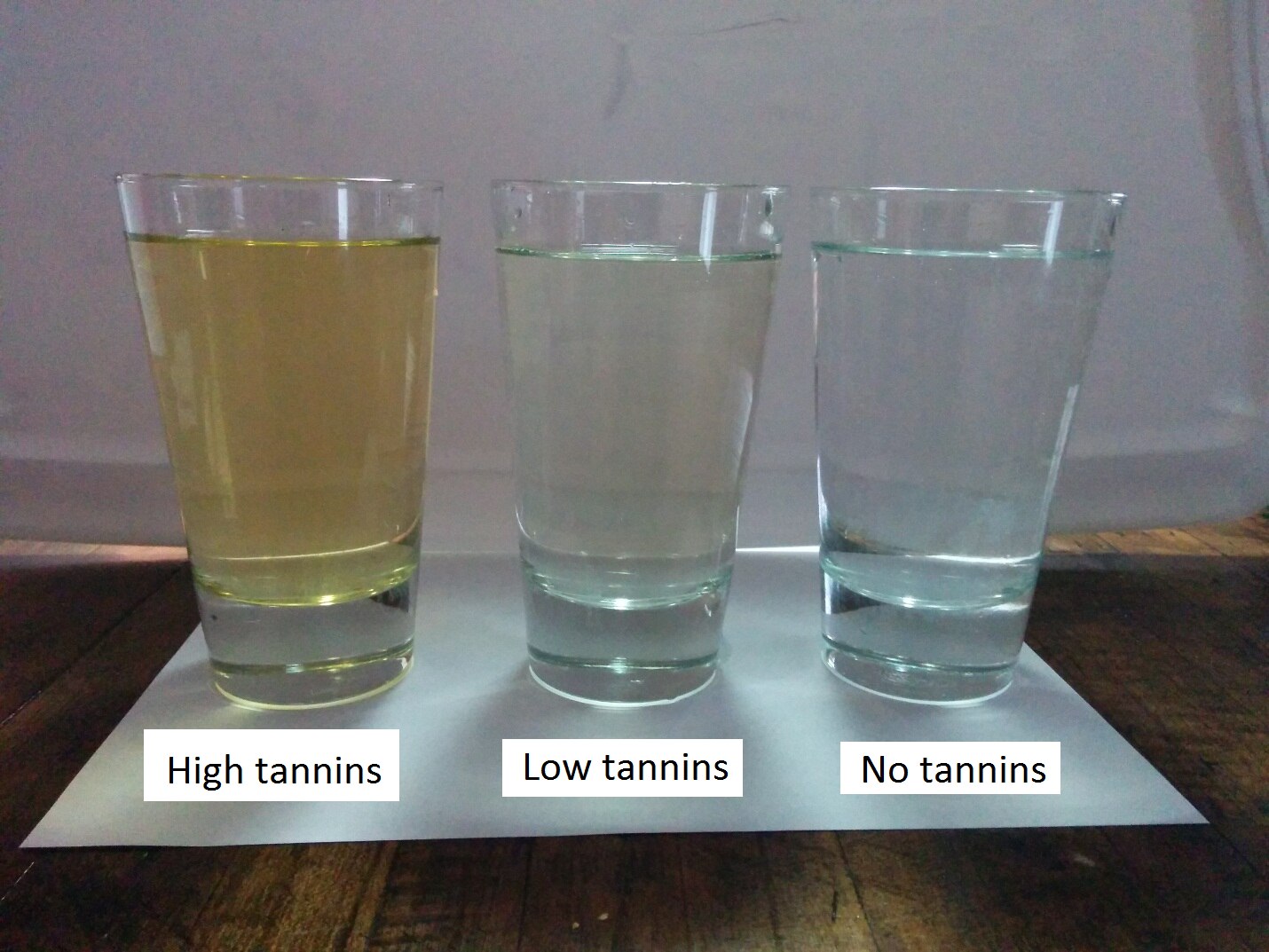 What Is Tannins in Water