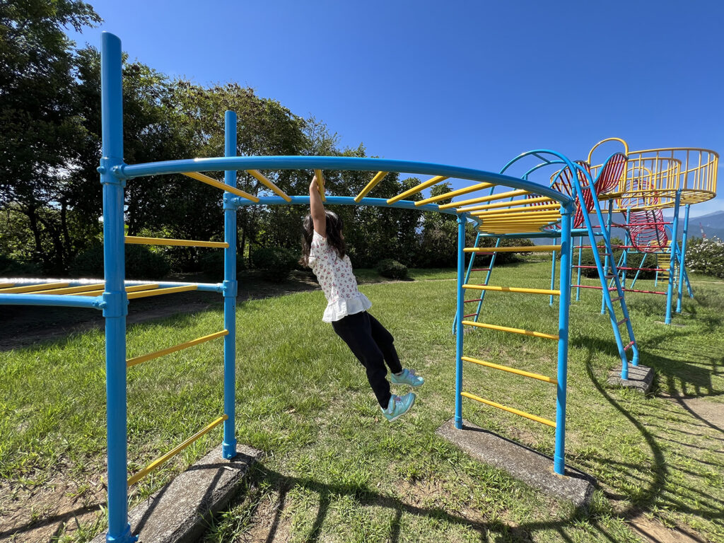 うんていがある公園の選び方2026！子どもの運動能力を伸ばす決定打
