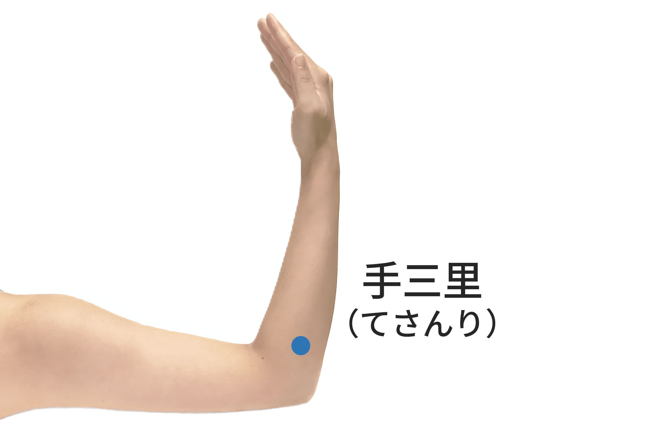 【2026年最新】夜中の歯痛に即効！今すぐ効くツボとロキソニン対処法