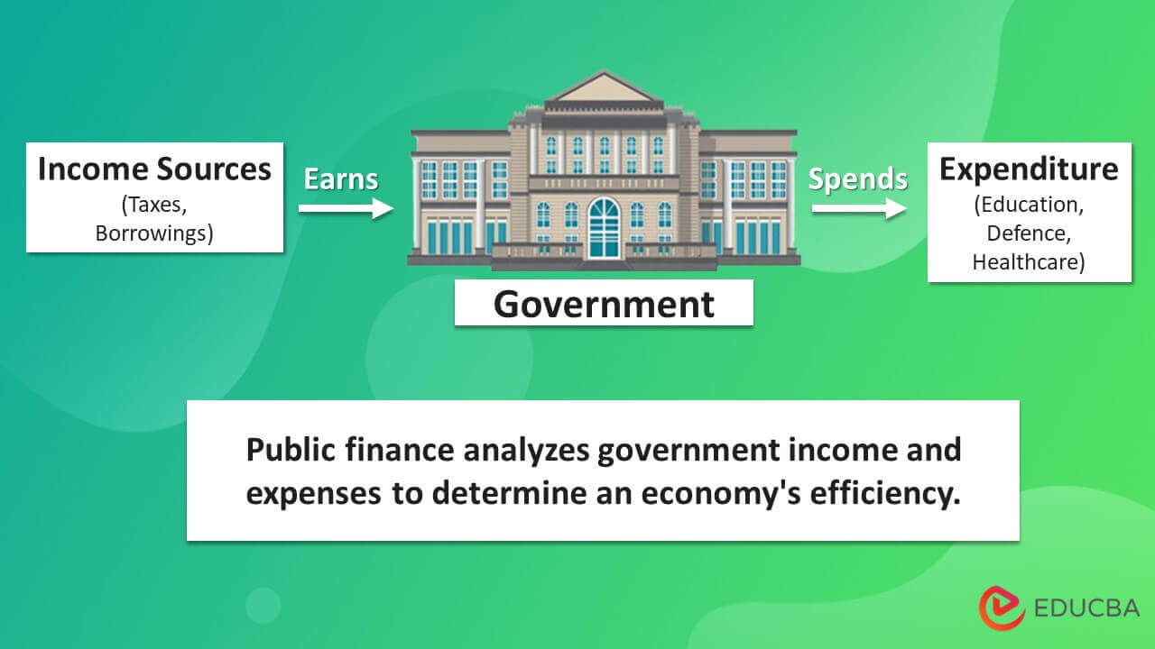 Financial Public Definition