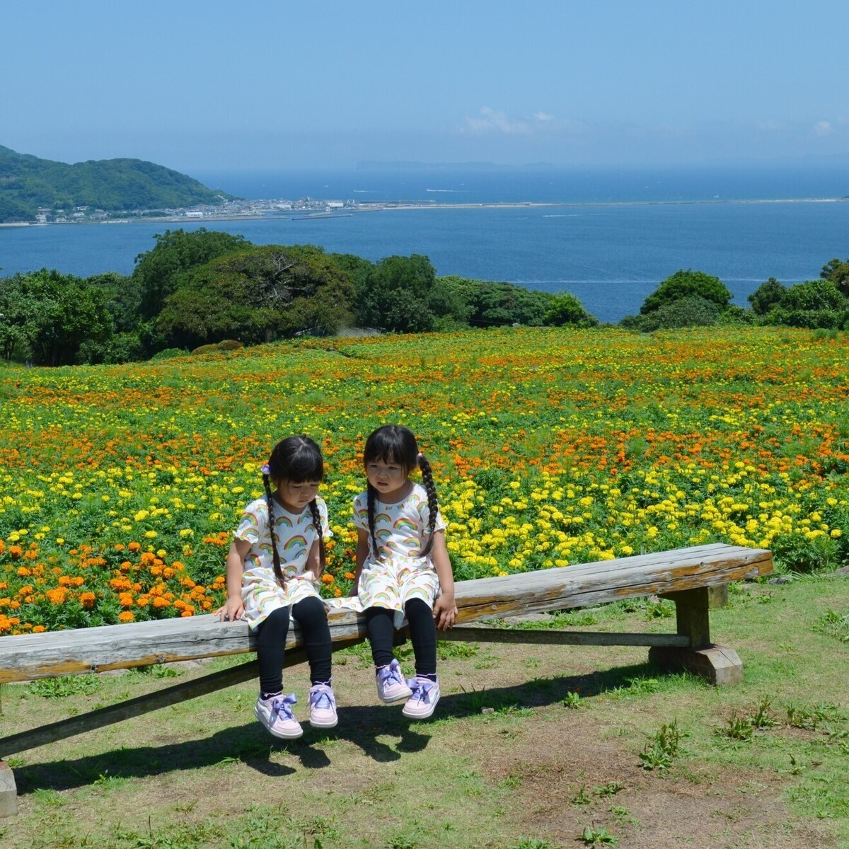 杏の子ども3人の現在！パリ移住後の年齢・学校と親権の真相に迫る