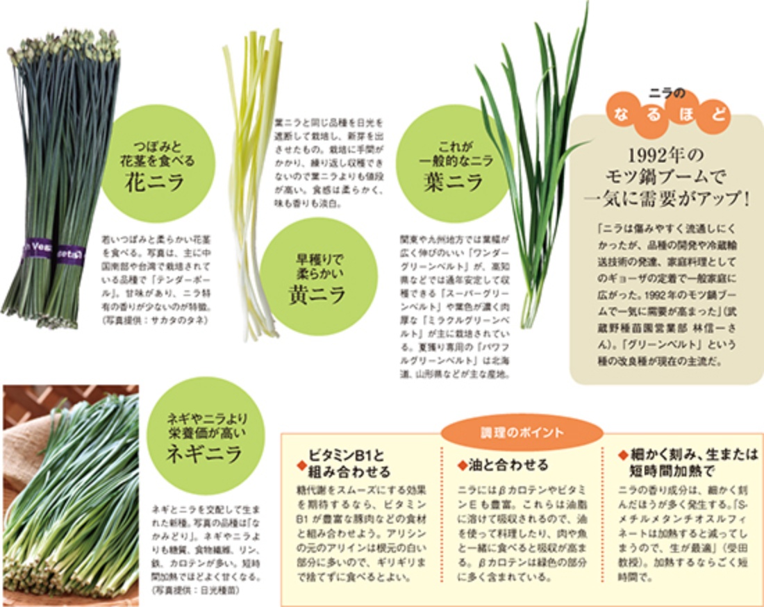 ニラの栄養効果を最大化！加熱の落とし穴と疲労回復の最強調理法