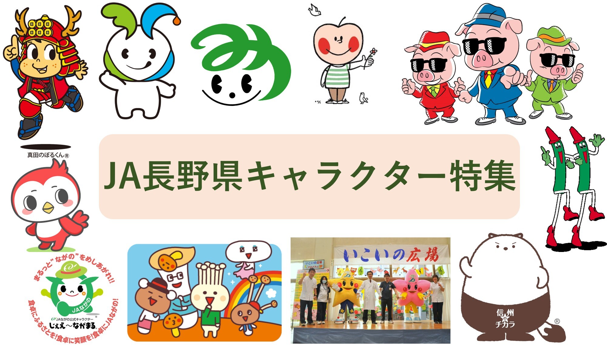 長野ご当地キャラの魅力解剖！アルクマの秘密と2026年最新情報