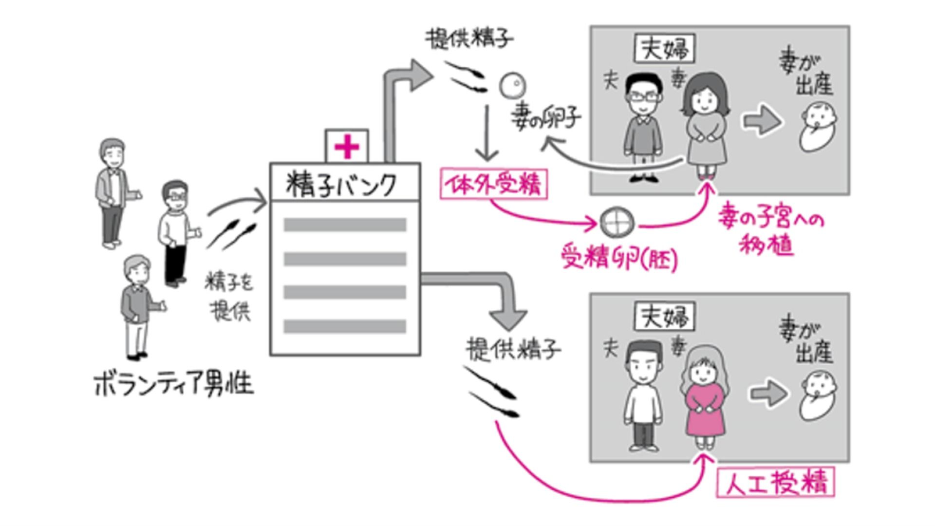 Sns精子提供の落とし穴｜経歴詐称の真相と2026年の法規制実態