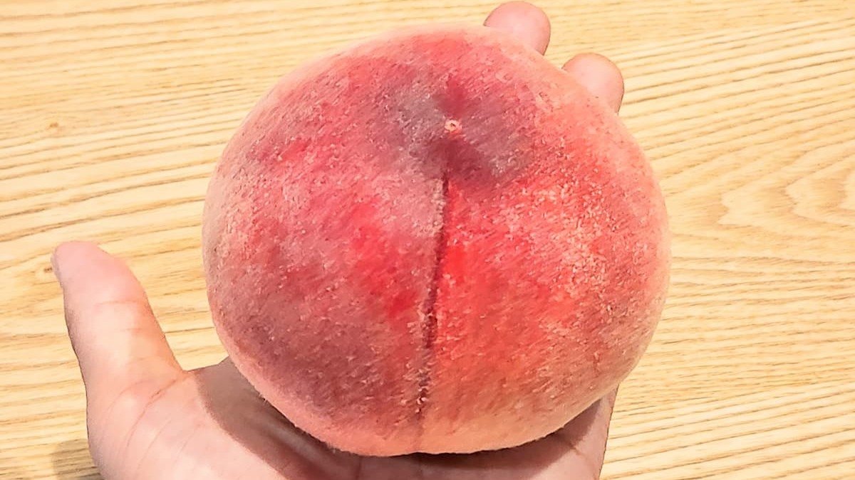 桃を冷蔵庫に入れてしまった？甘さと食感を復活させる裏ワザと保存術