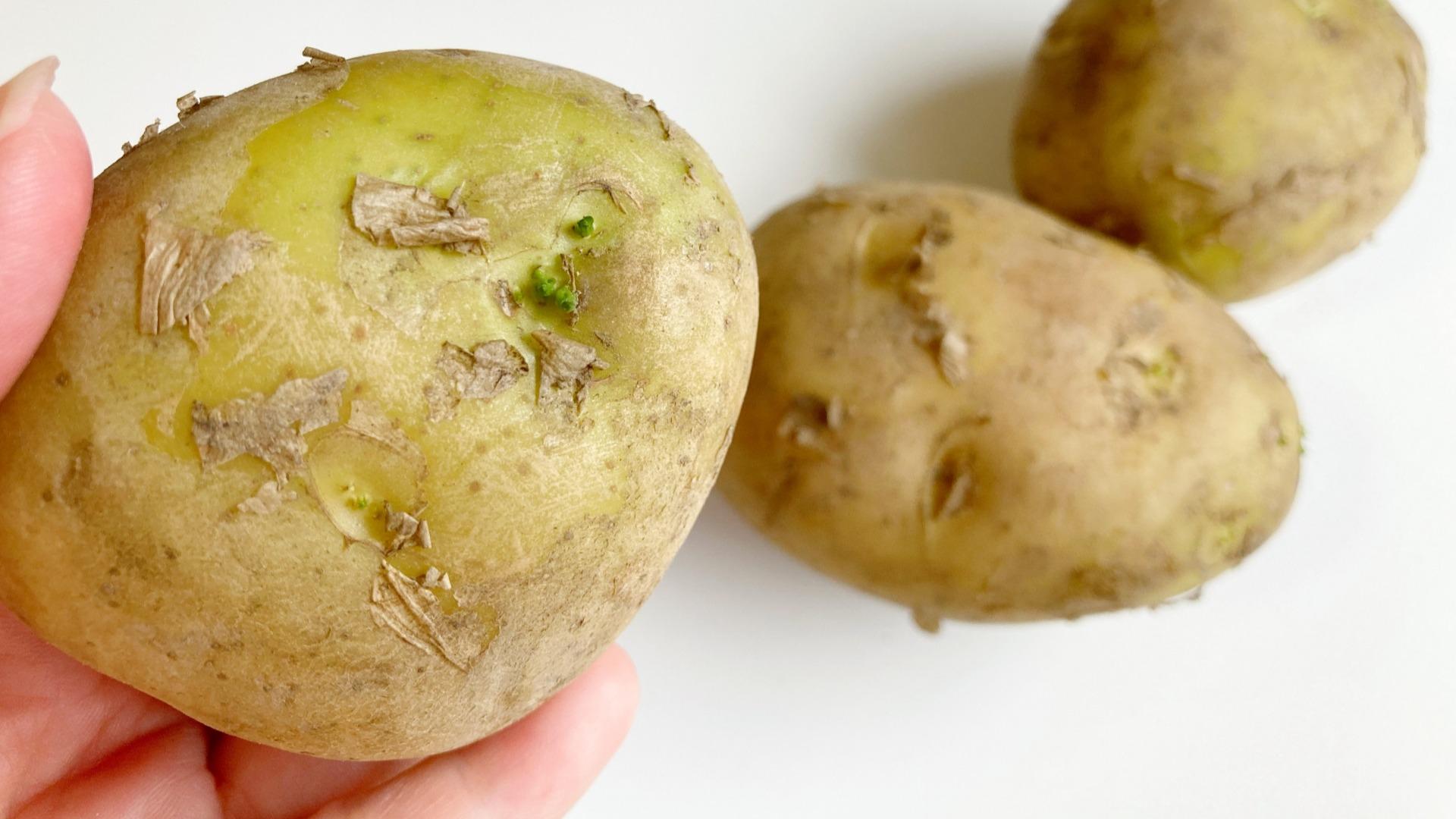 緑のじゃがいもは食べれる？加熱で毒は消える？危険性と安全な対処法を徹底解説