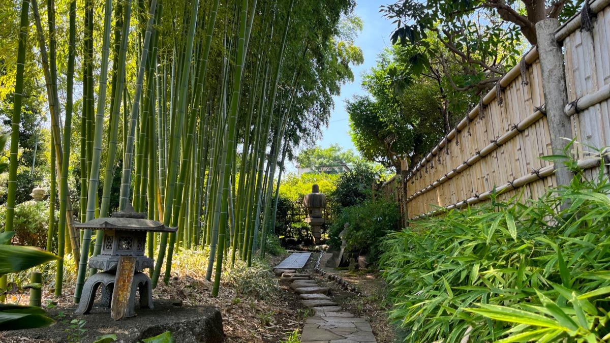 入園無料の隠れ家！板橋区立赤塚植物園の魅力と2026年最新見どころ