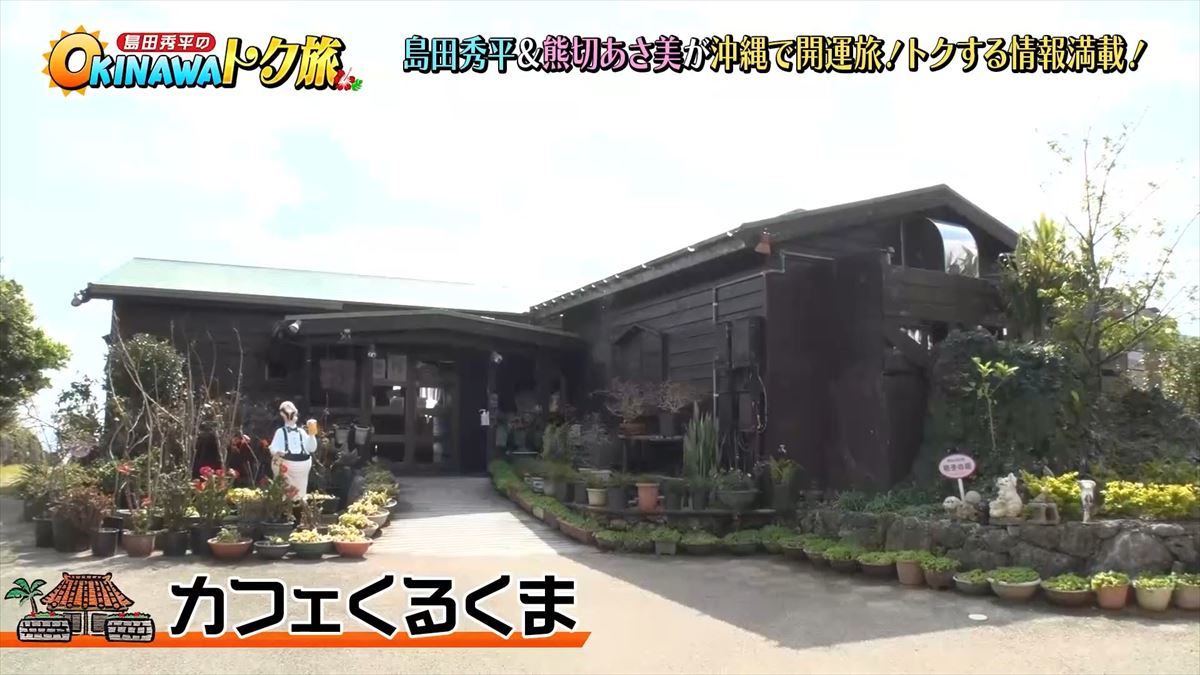 カフェくるくまの絶景と本格カレー！混雑回避と人気の裏側を徹底解剖
