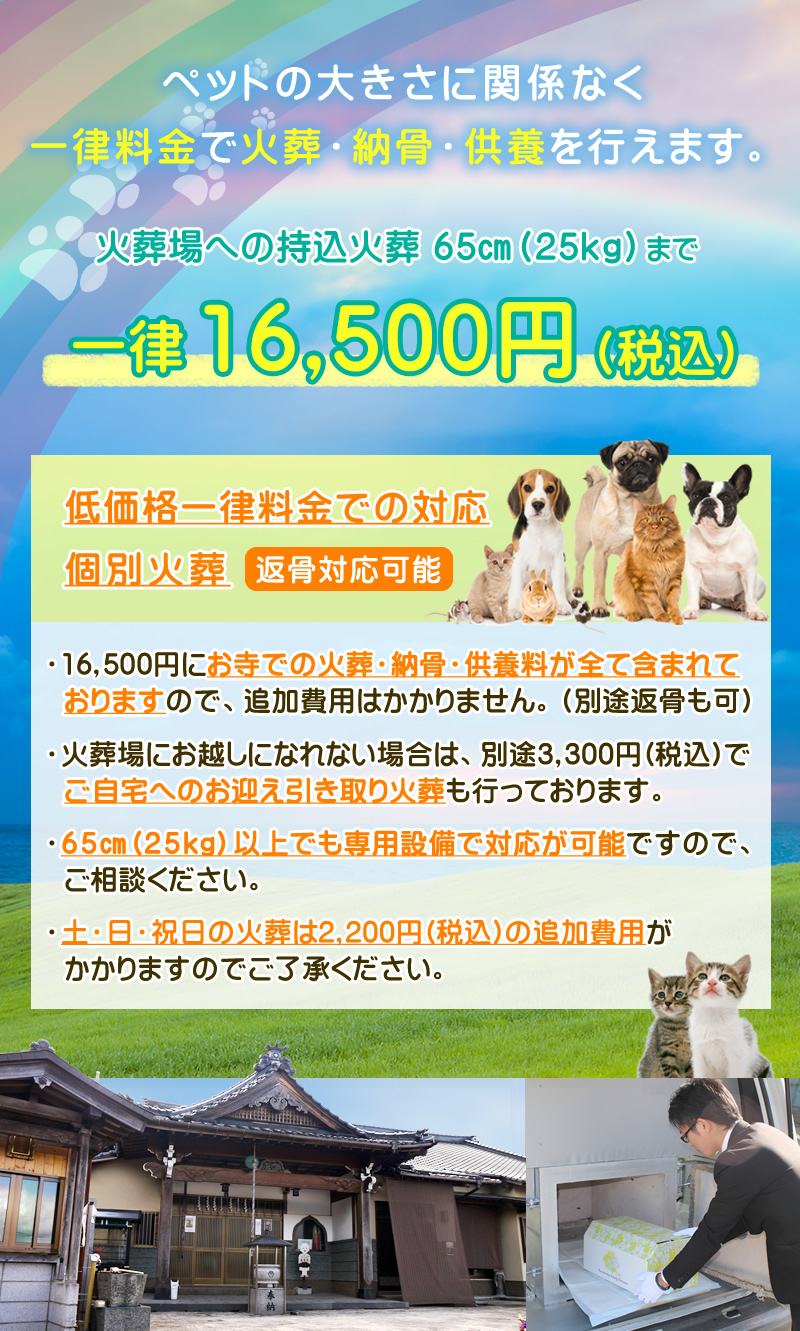 諏訪公園2026最新攻略！遊具や混雑状況から夜のライトアップまで徹底解説
