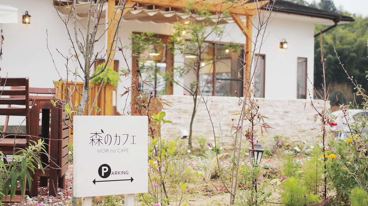 森のカフェ人気の理由を徹底解明！絶景テラスと隠れ家名店の選び方