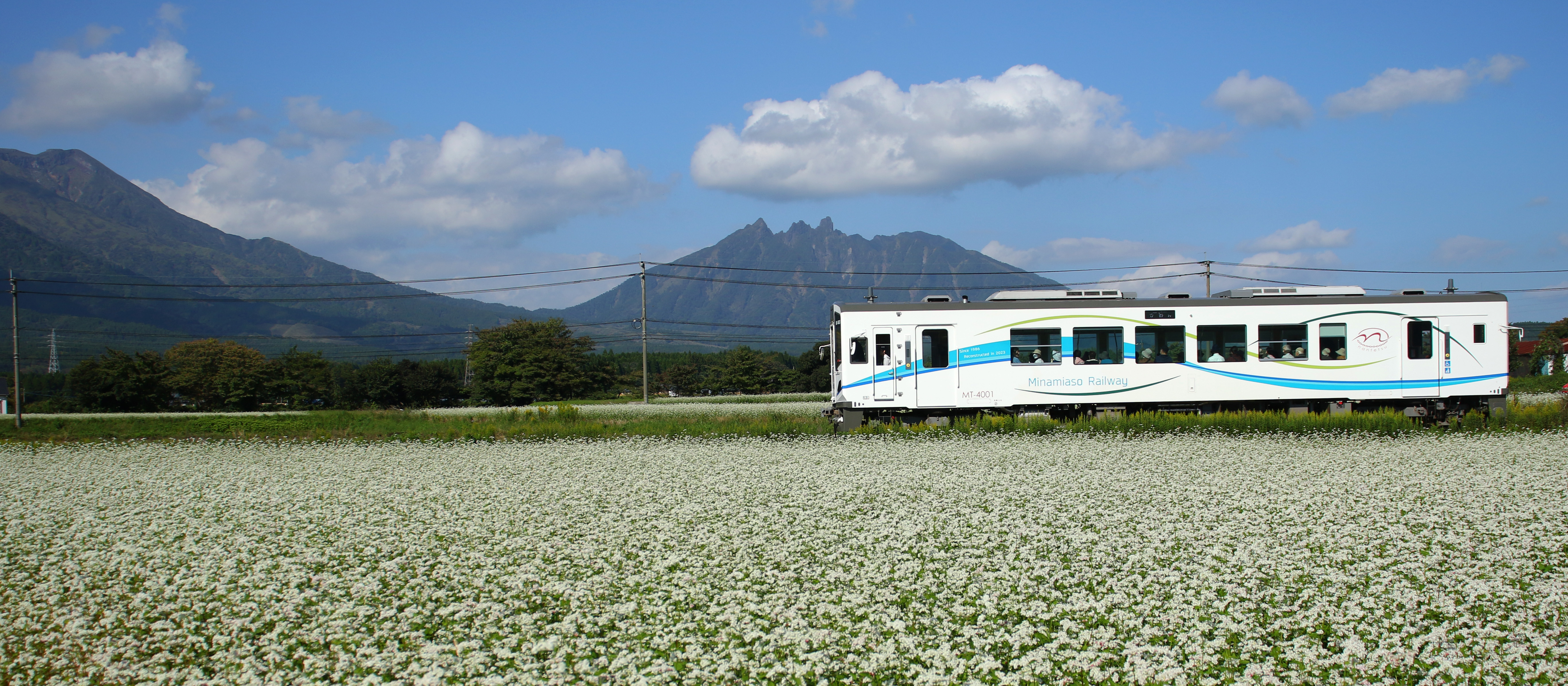 【2026最新】南阿蘇鉄道はなぜ話題？全線復旧の真相とトロッコ予約法