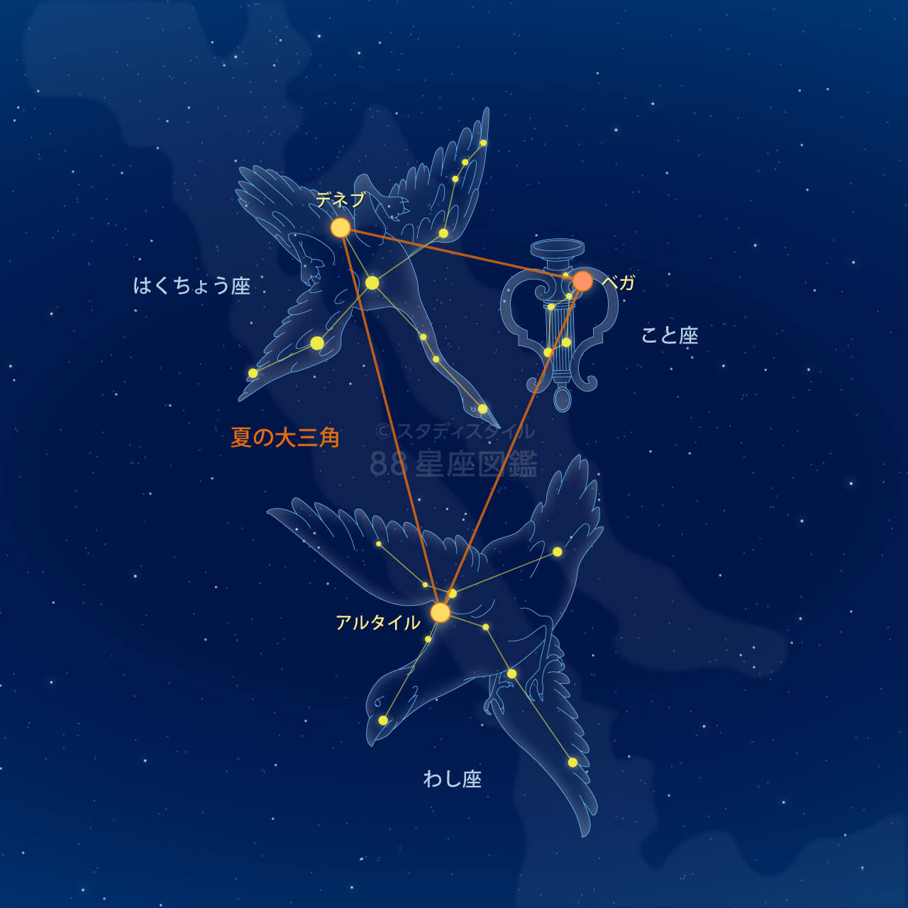 夏の大三角形と星座の見つけ方完全攻略！七夕伝説の真相と観測ガイド