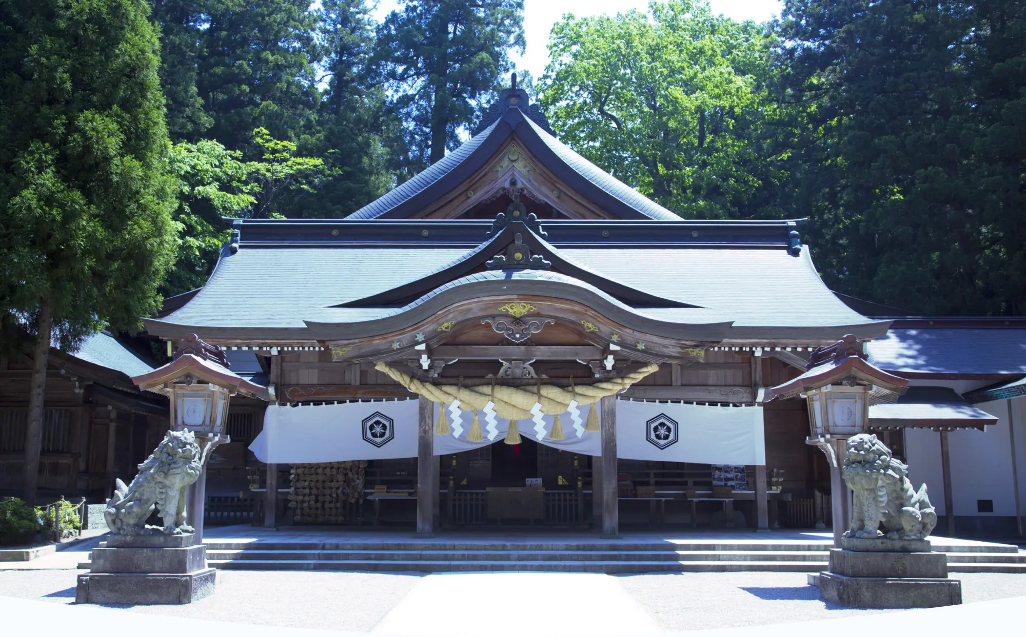 白山比咩神社で人生激変の噂！最強ご利益の真相と正しい参拝手順を検証