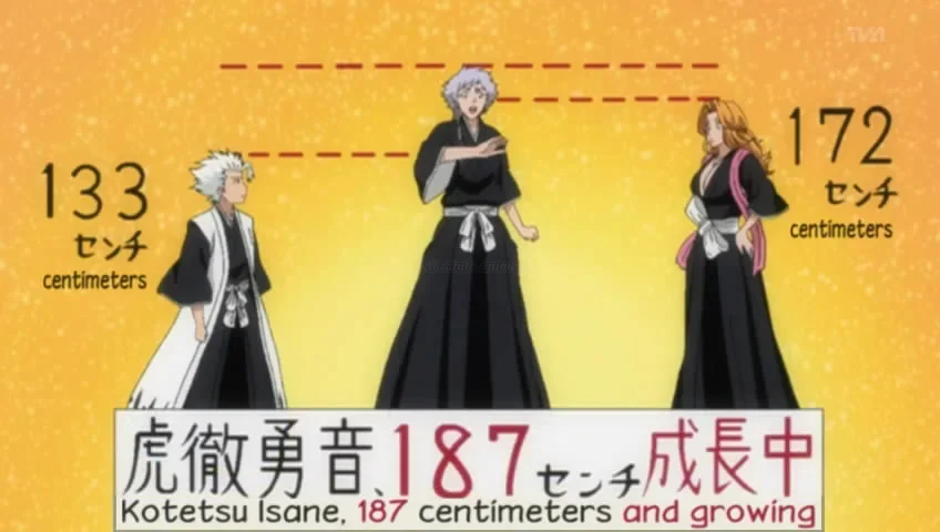 How Tall Is Toshiro Hitsugaya