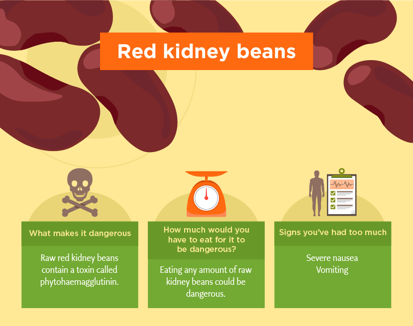 Kidney Beans Raw Poisonous