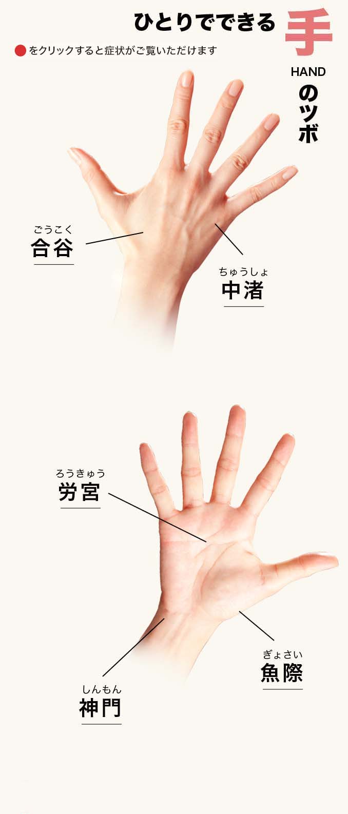 【最新版】お灸のツボ一覧！症状別の正しい位置と初心者の据え方ガイド