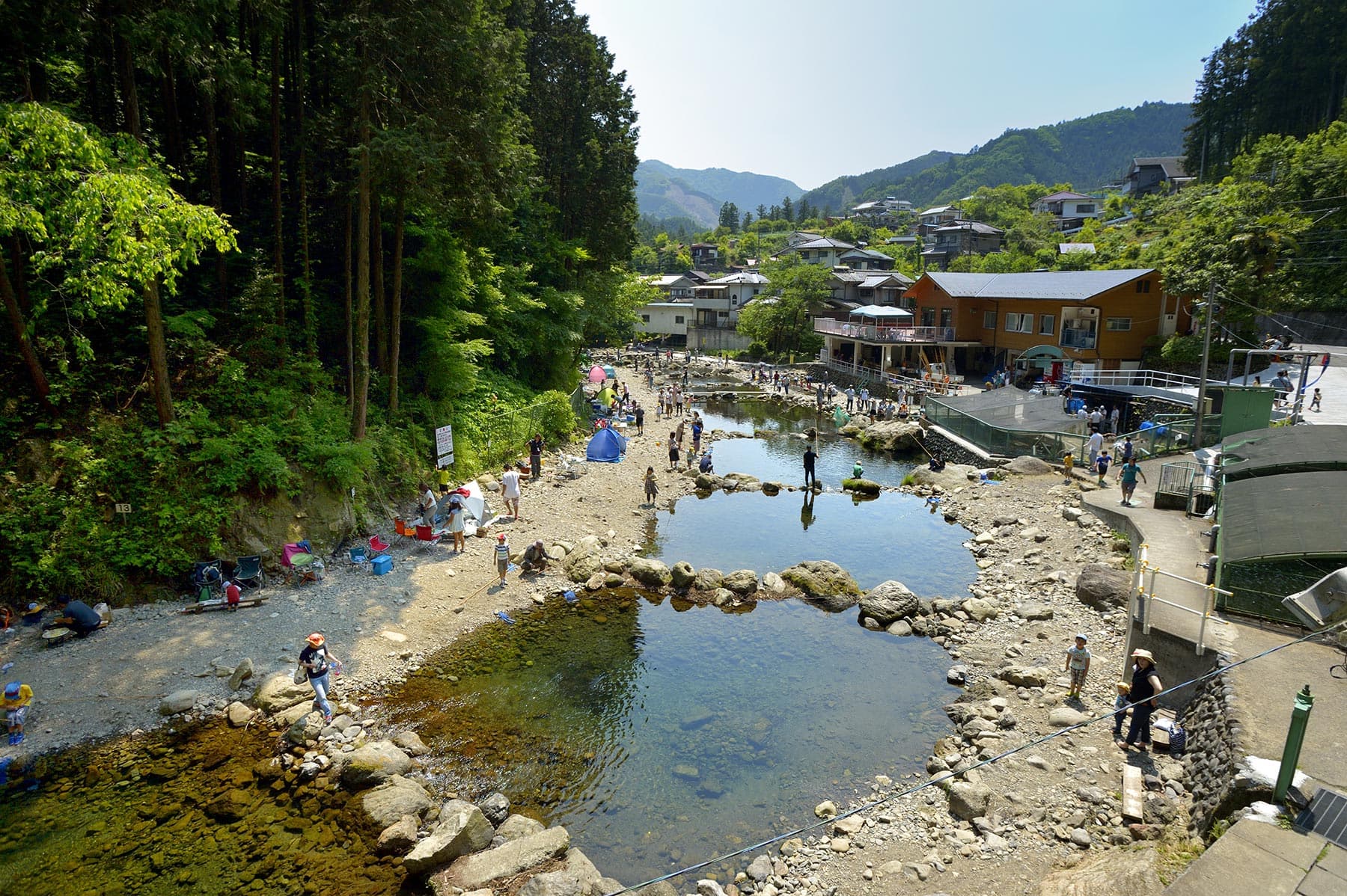 秋川国際マス釣り場は初心者も釣れる？釣れない噂と混雑回避の真実