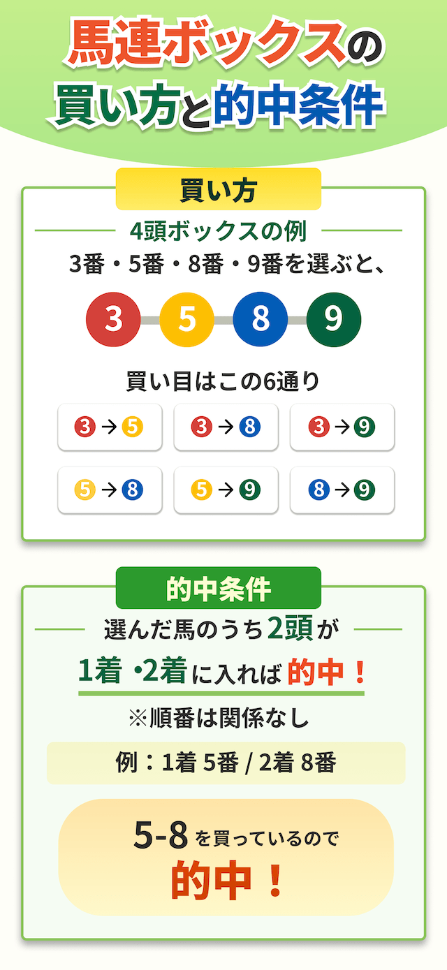 【2026年最新】馬連ボックスとは？点数計算の早見表と勝てる買い方