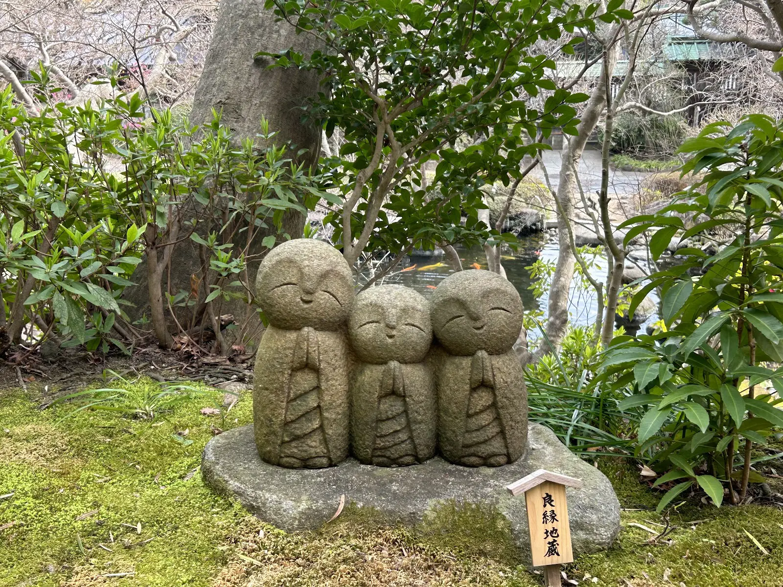 癒やしの和み地蔵を徹底調査！鎌倉長谷寺の場所やご利益・由来とは