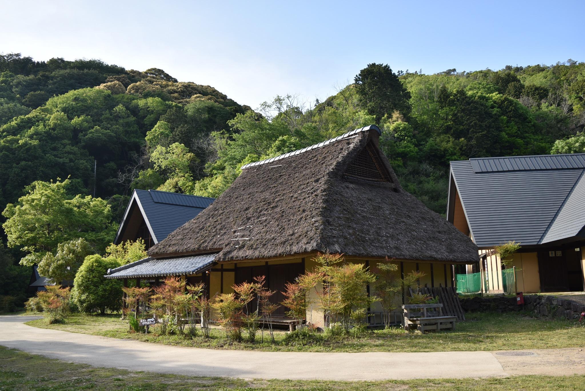 犬鳴山いこいの家は営業中？Bbqや川遊びの魅力と噂の真相を徹底調査