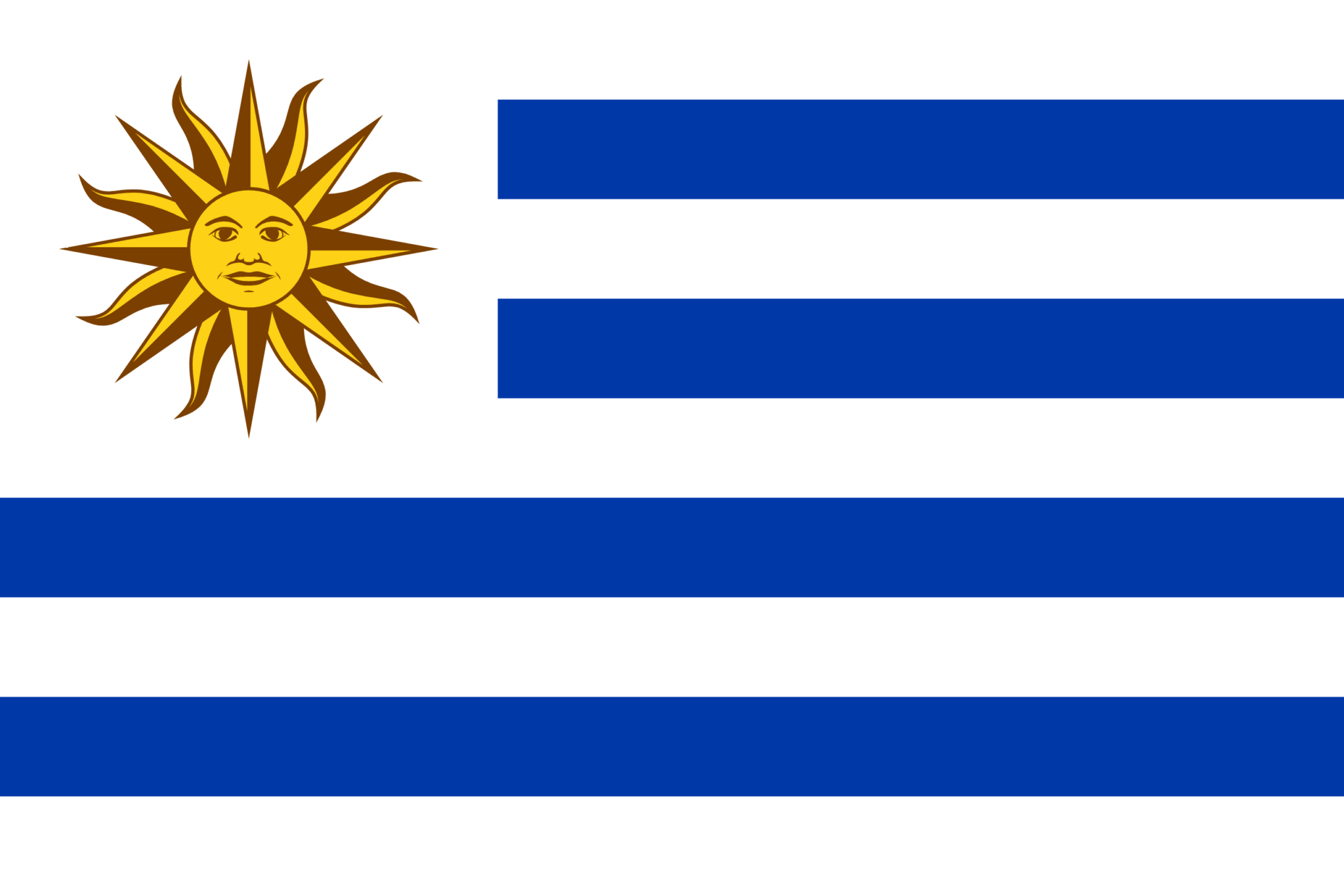 What Is Blue and White Flag