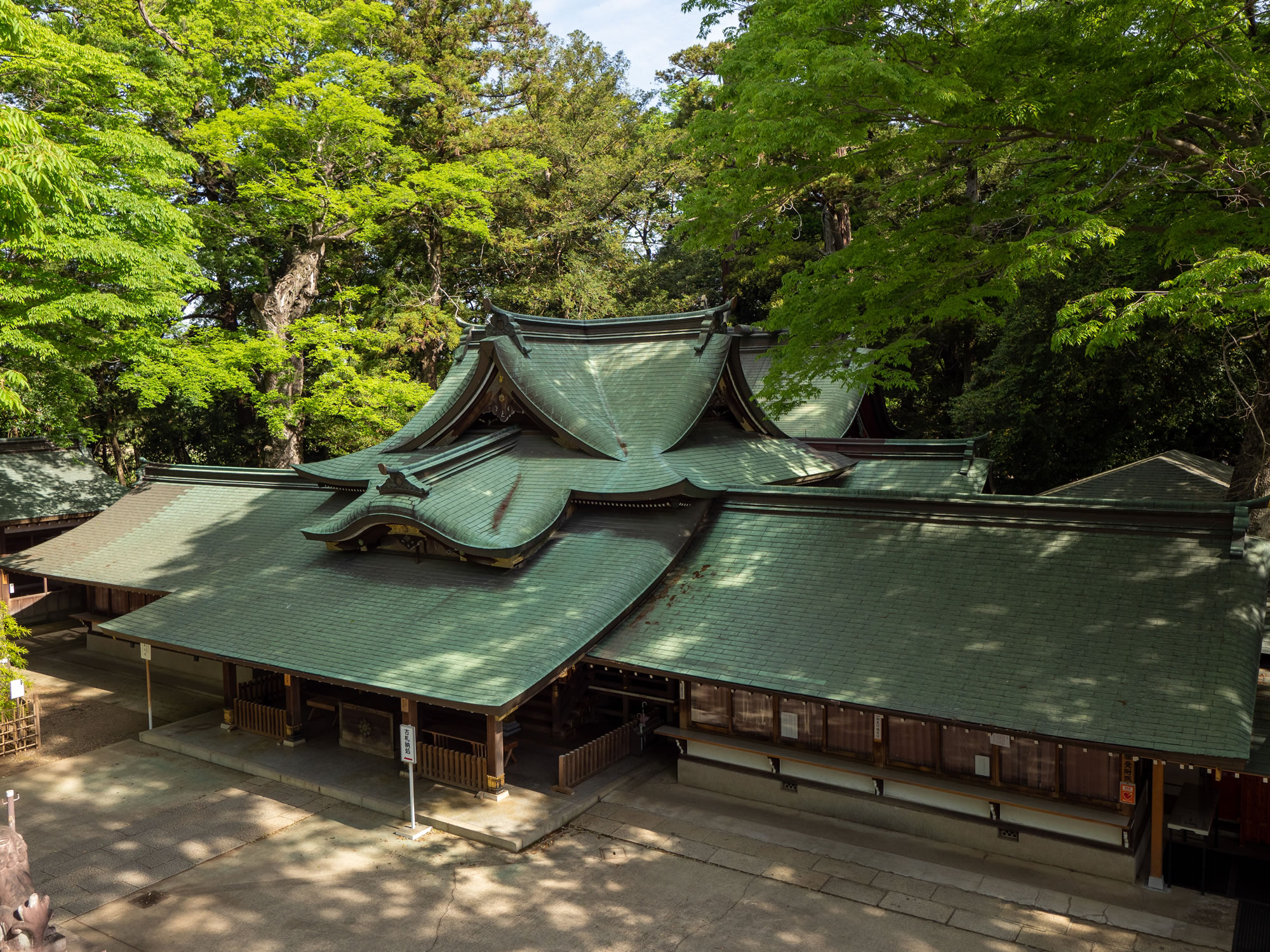 一言主神社のご利益と怖い噂の真相！願いを叶える参拝作法を徹底解説