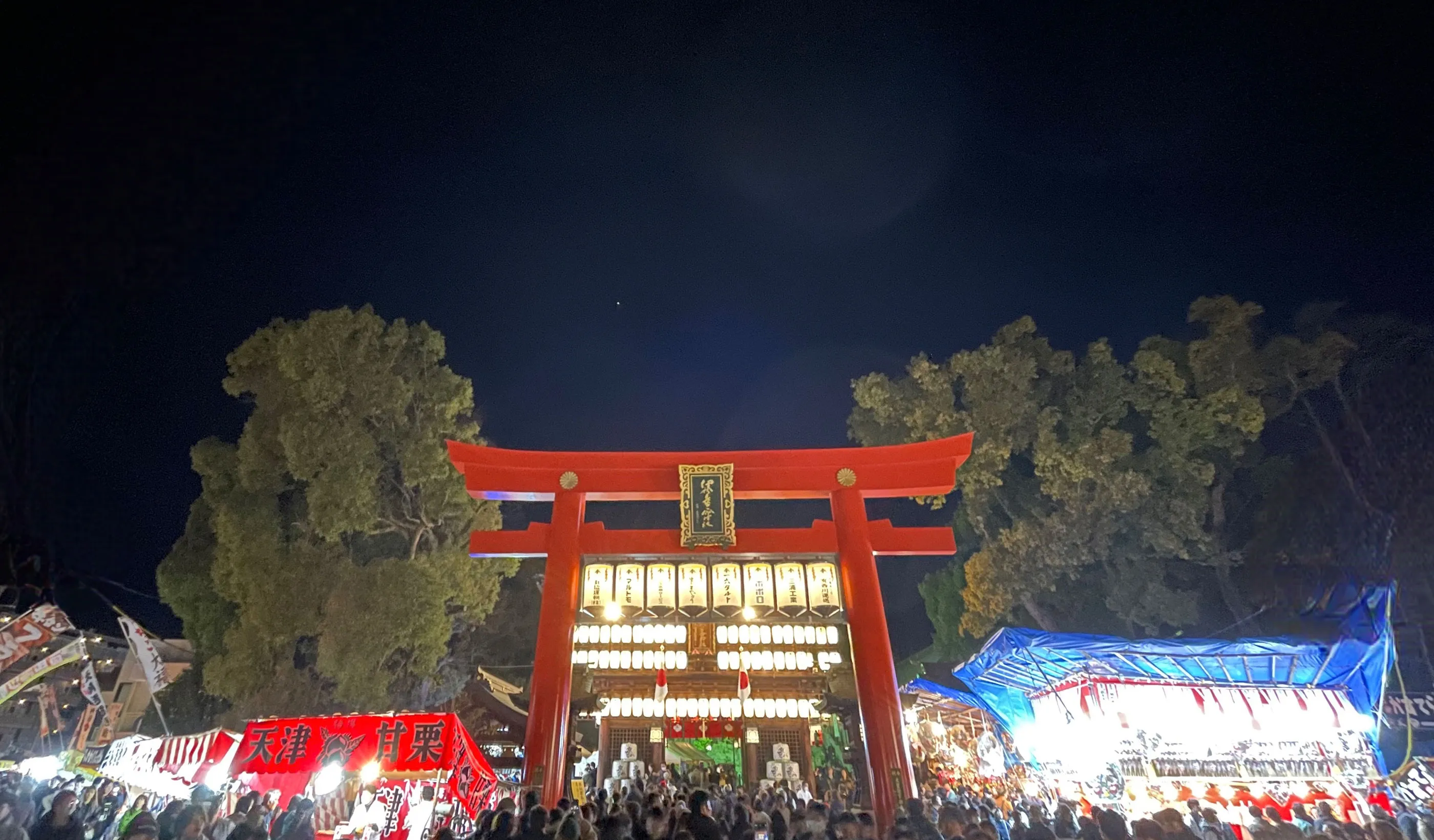 椿神社のご利益が凄すぎる噂の真相！叶え滝の待ち受け効果と参拝の極意
