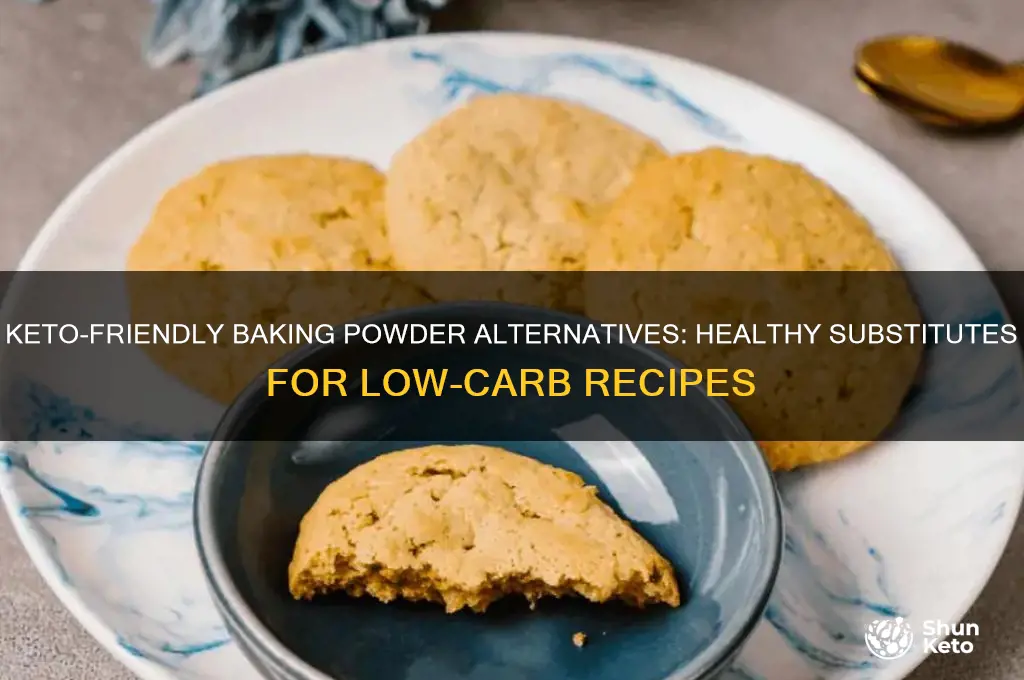 What Can Replace Baking Powder in a Recipe