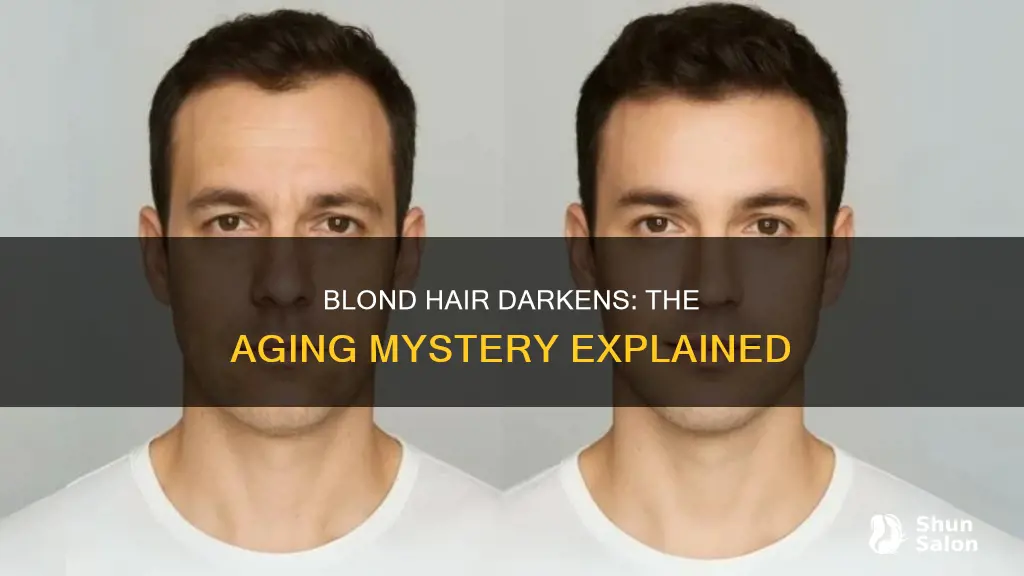 Why Does Hair Get Darker as You Get Older