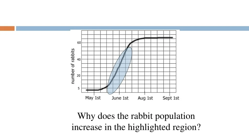 During Which Season Does the Rabbit Population Increase Most Rapidly