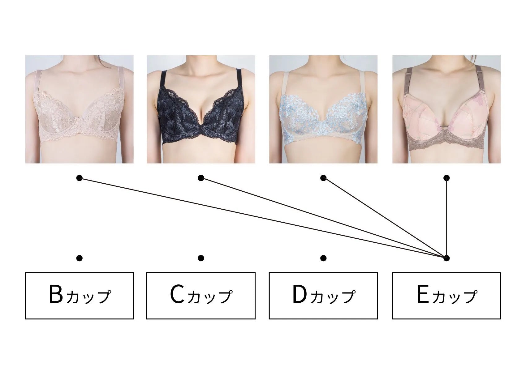 シーカップ見た目のリアル！服を着た時の印象と理想のギャップを解明