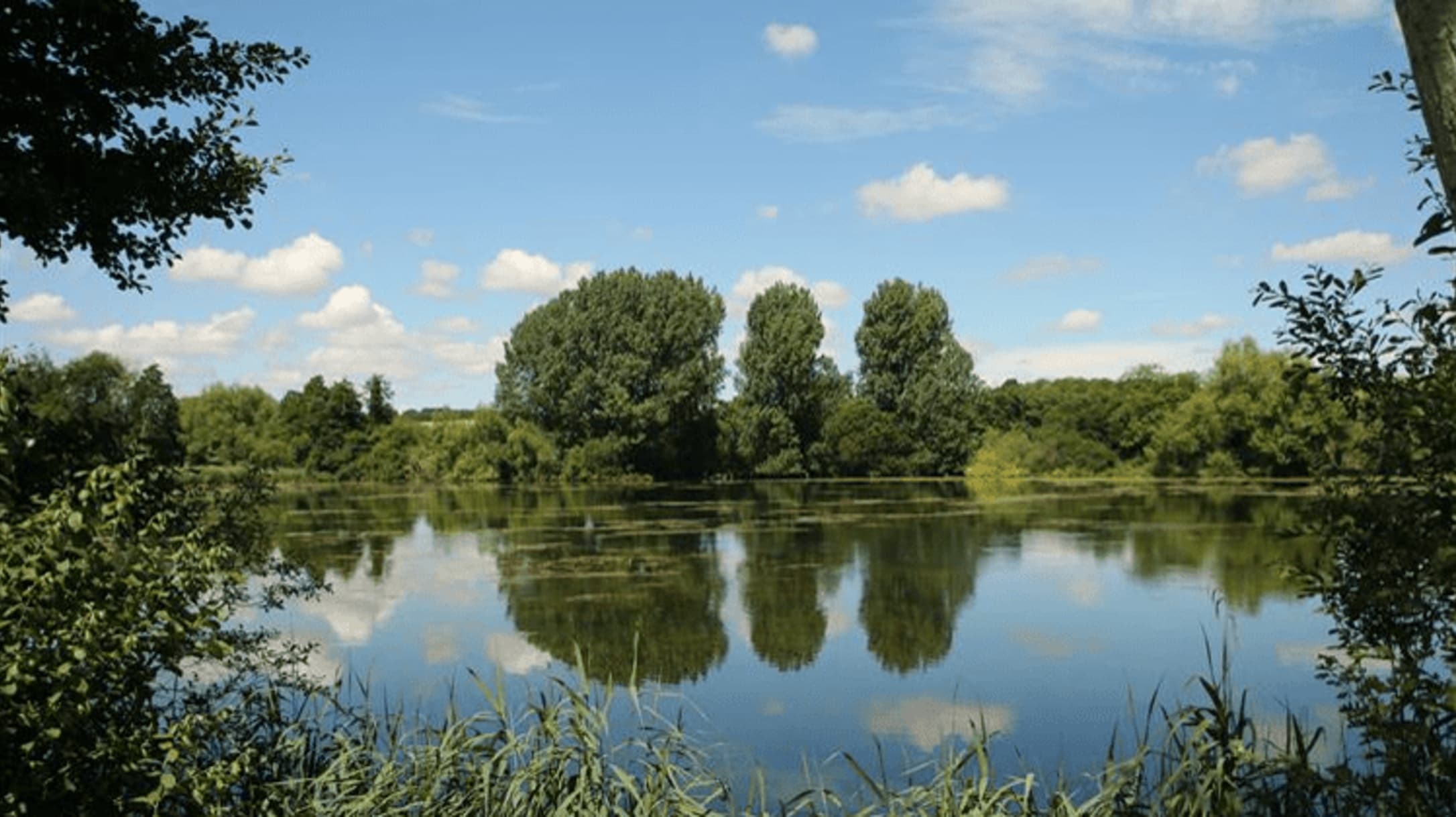 Langford Lakes Nature Reserve Wiltshire Wildlife Trust