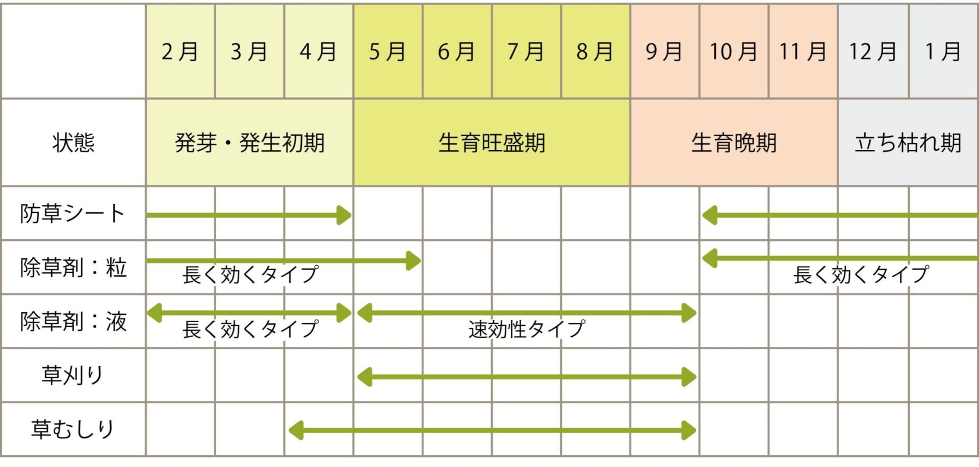 除草剤をまく時期はいつ？効果激変のベスト散布タイミングと失敗ゼロの極意