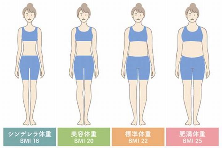 165センチ60キロの見た目はどう見える？Bmiと体型の真実
