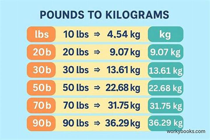 80 Kilos in Pounds: the Quick, Accurate Conversion Guide