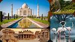 A Journey of Heritage and Choice