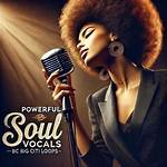 A Journey of Vocals, Soul,