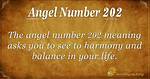Angel Number 202 Meaning: Stay on Path