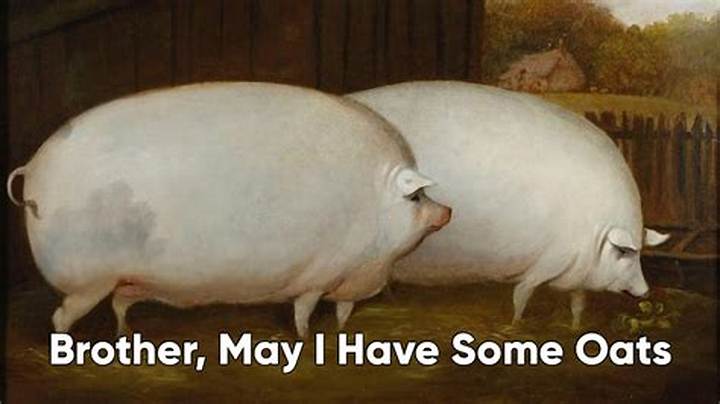 Brother May I Have Some Oats: the Meaning, Meal Ideas, and History