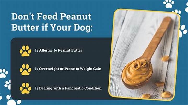 Can Dogs Eat Peanut Butter? Safety, Risks, and Best Practices