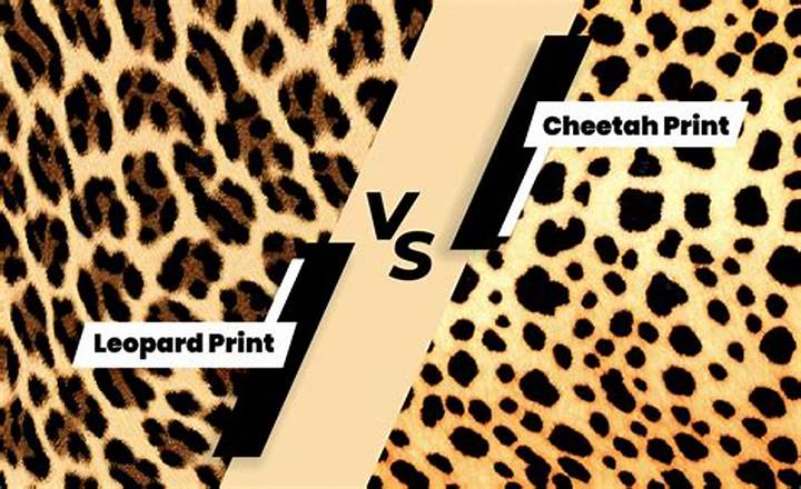 Cheetah vs Leopard Print: What’s Different, What to Look For, and Why