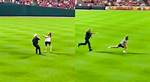 Cincinnati Reds Fan Gets Tased: a Shocking Incident at the Ballpark