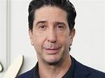 David Schwimmer: a Comprehensive Look at the Life and Career of Ross Geller