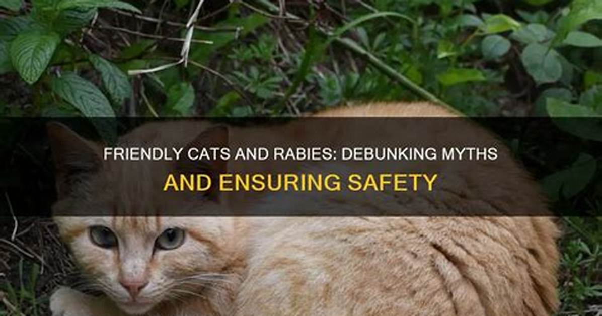 Debunking Myths and Ensuring Safety in Extreme Challenges