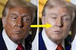 Discovering the Color of Trump's Eyes: a Unique Inquiry