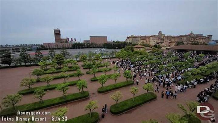 ディズニーシー混雑状況の見方と対策：時間帯・曜日・攻略法