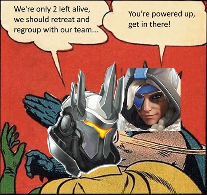D. Va vs Roadhog: the Iconic Overwatch Interruption Explained