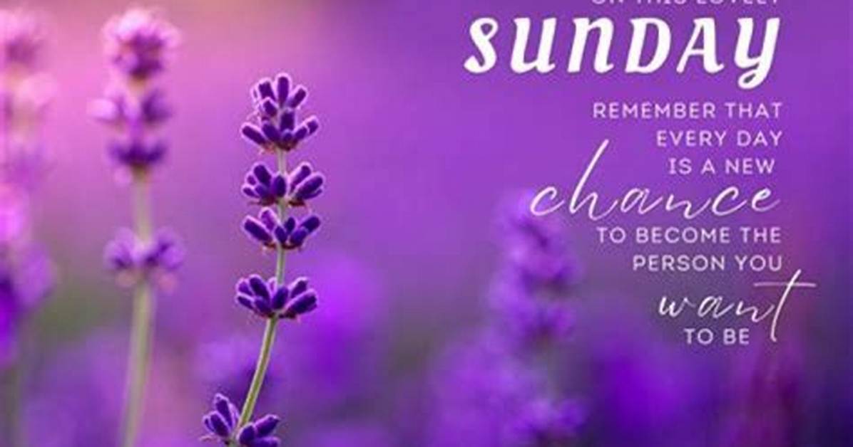Embracing the Serenity of Sunday: Greetings and Blessings