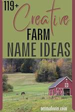 Essential Guide to the Names of Farm Vehicles: Your Ultimate Glossary